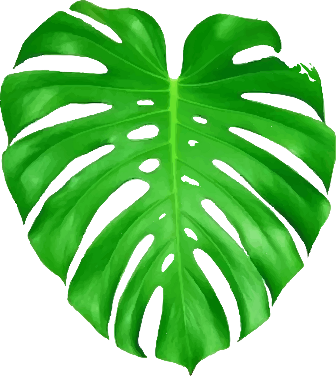 Green Palm Leaf