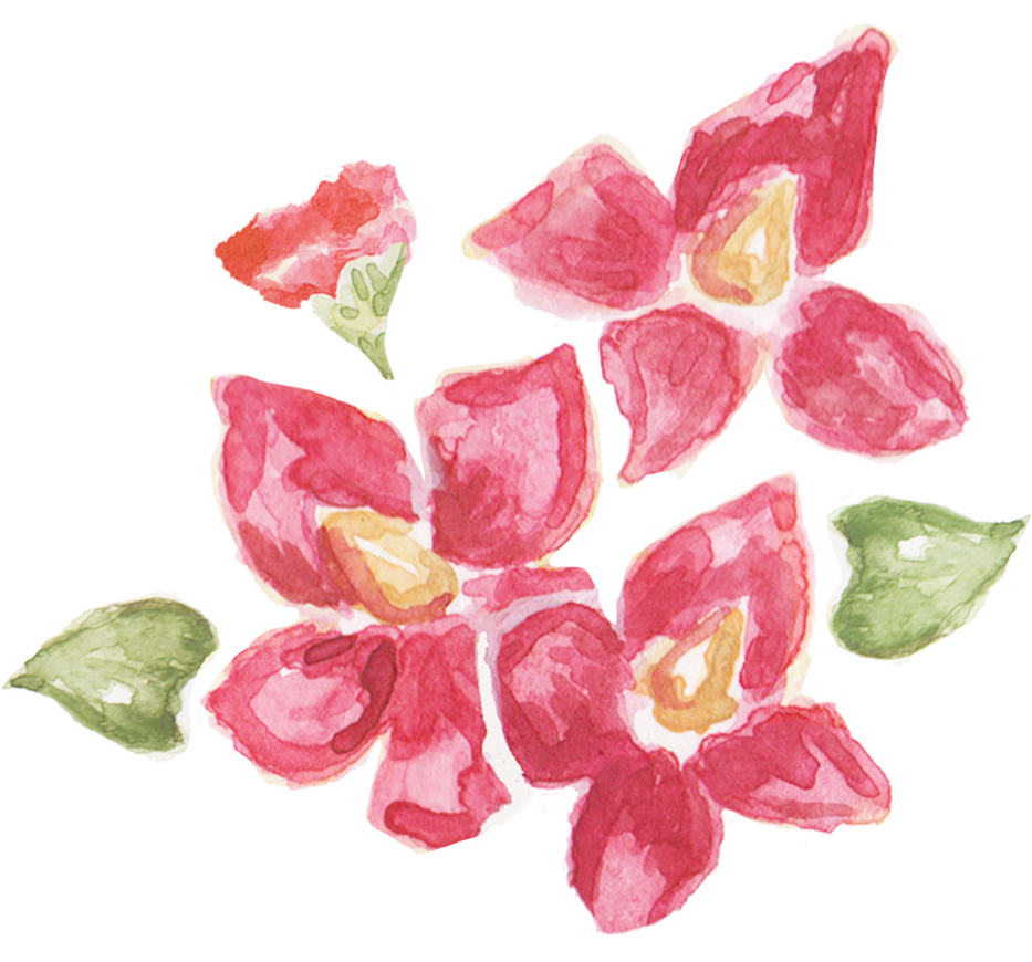 Hand-Painted Watercolor Waling-Waling Filipino Flower Arrangement Illustration